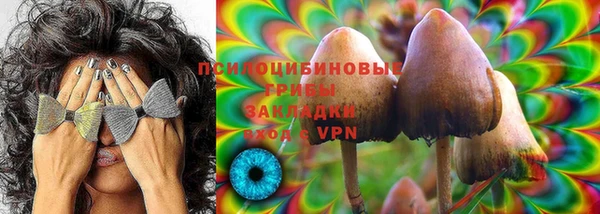 PSILOCYBIN Красноперекопск