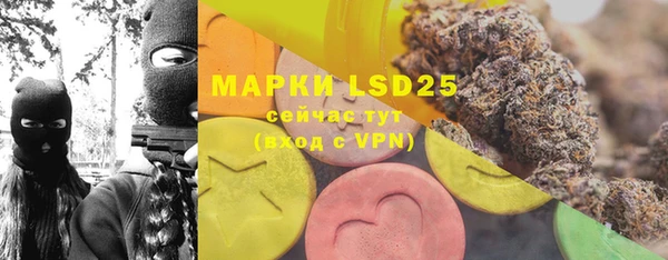 PSILOCYBIN Красноперекопск